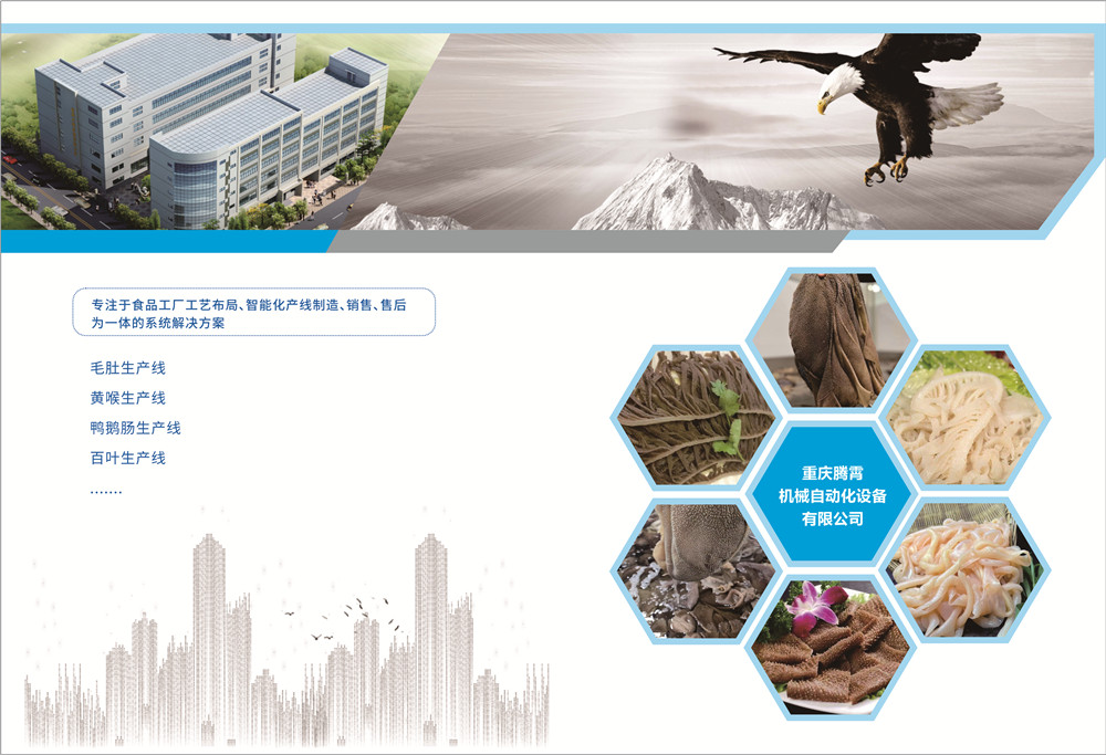 1679449929670692.jpg 毛肚畫(huà)冊(cè)-21.jpg